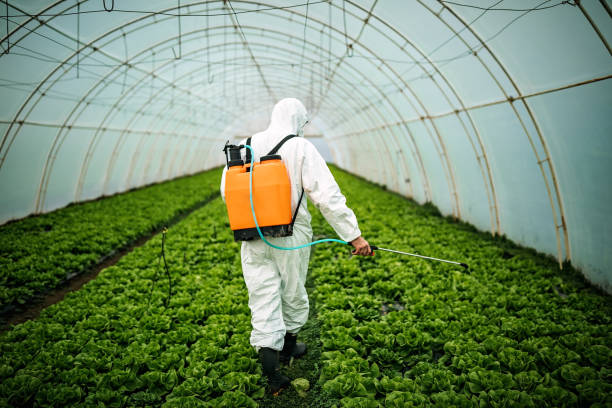 Best Pest Inspection Near Me  in Luray, VA