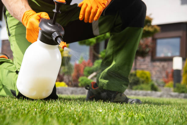 Wildlife Control Services in Luray, VA