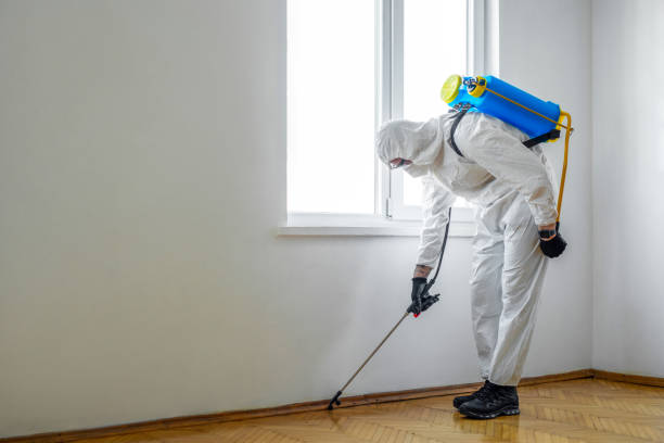 Reliable Luray, VA Pest Control Solutions