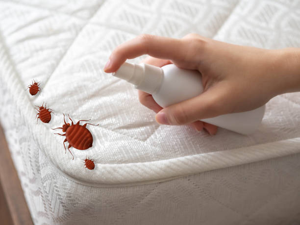 Best Mosquito Control Services  in Luray, VA
