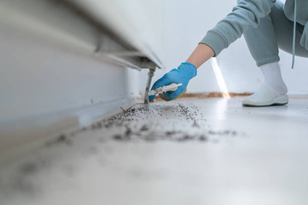 Best Wildlife Control Services  in Luray, VA