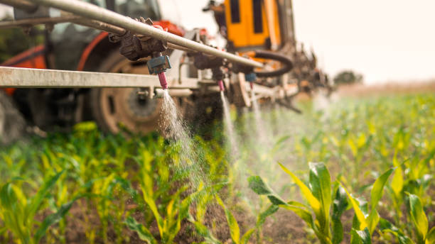 Best Commercial Pest Control Services  in Luray, VA